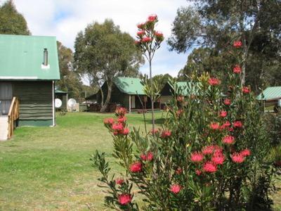 Derwent Bridge Chalets & Studios Εξωτερικό φωτογραφία