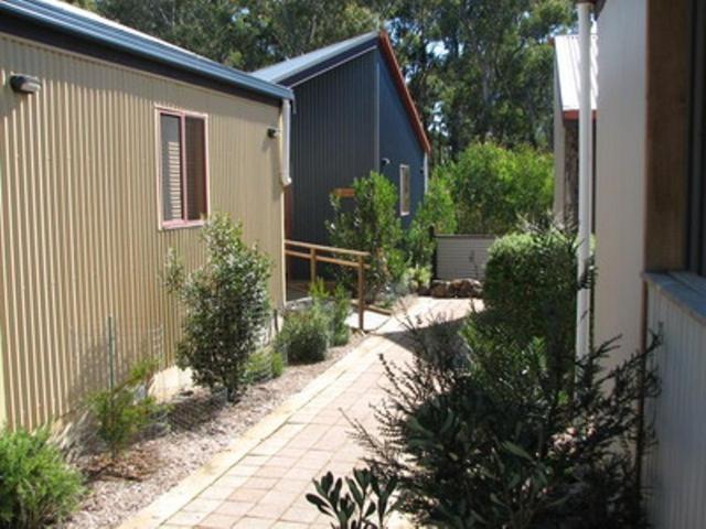 Derwent Bridge Chalets & Studios Δωμάτιο φωτογραφία